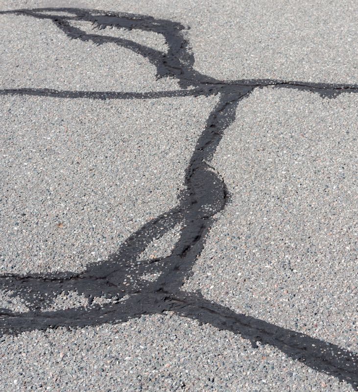 Signs Your Asphalt Surface Needs Professional Repair